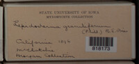 Image Associated With the Occurence